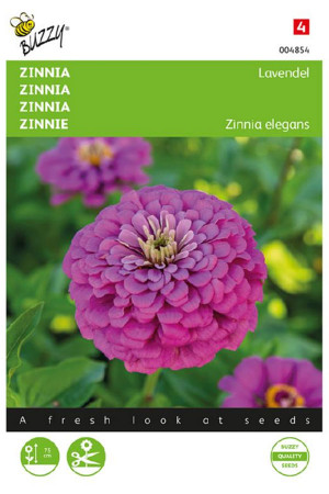 Lavendel Zinnia seeds
