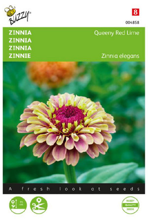 Queeny Red Lime Zinnia seeds