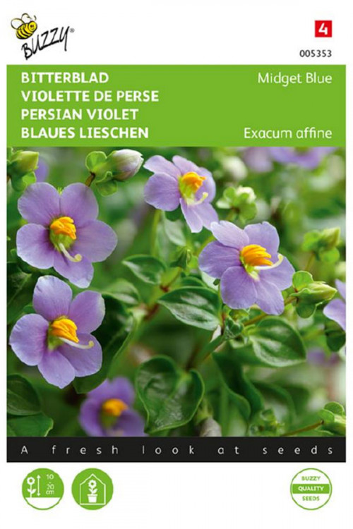 Midget Blue Persian Violet seeds