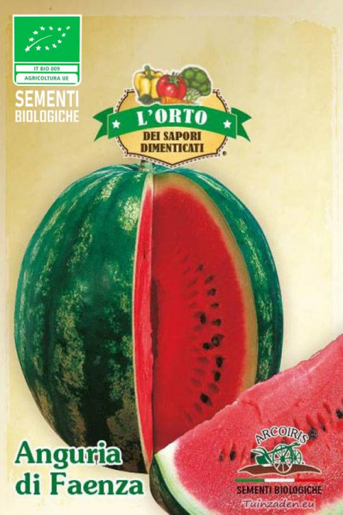Anguria Di Faenza watermeloen BIO zaden
