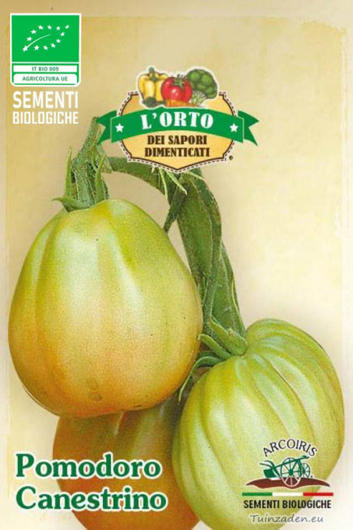 Pomodoro Canestrino Tomato organic seeds
