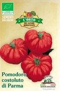 Pomodoro Costoluto di Parma tomaten BIO zaden