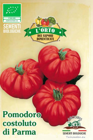 Pomodoro Costoluto di Parma...