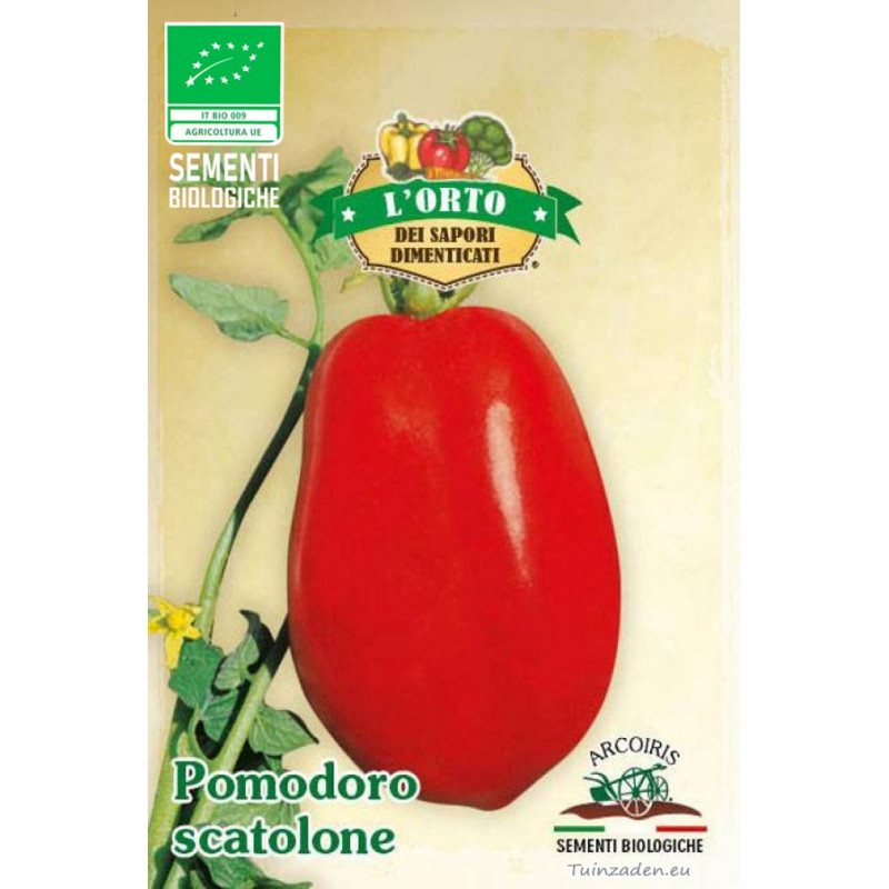 Pomodoro Scatolone 3 tomaten BIO zaden Pomodori Tomaten Zaden kopen
