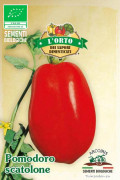 Pomodoro Scatolone 3 tomaten BIO zaden