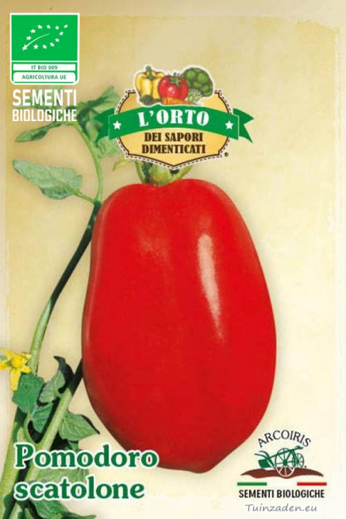 Pomodoro Scatolone 3 Tomato organic seeds