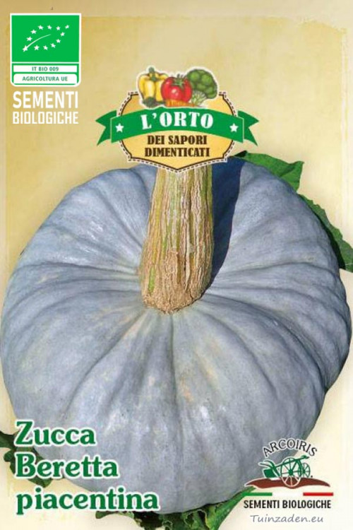 Zucca Beretta Piacentina pumpkin organic seeds