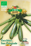 San Pasquale Squash organic seeds