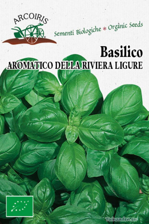 Basilico della Riviera Ligure Basil organic seeds