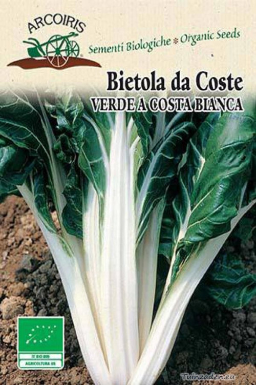 Bietola Verde a Costa Bianca 3 Chard organic seeds