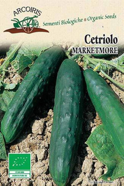 Cetriolo Marketmore Komkommer BIO zaden