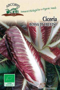 Cicoria Rossa di Treviso Precoce Chicory organic seeds