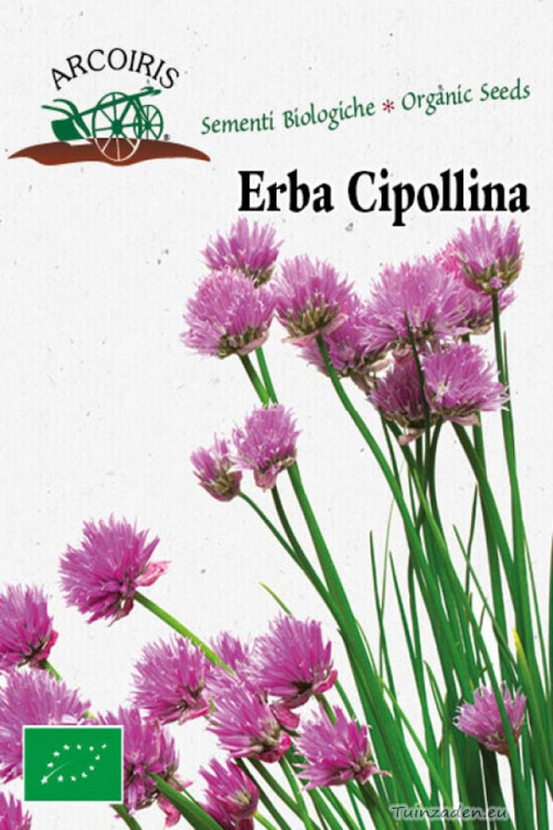 Erba Cipollina Schmitt Chives organic seeds