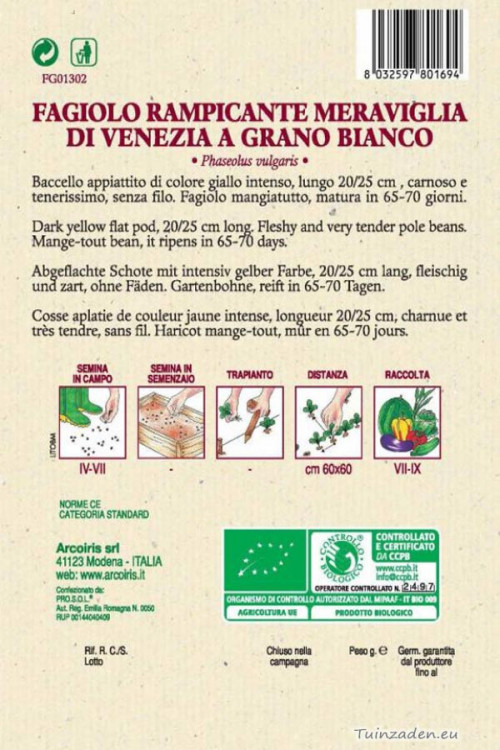 Meraviglia di Venezia Climbing bean organic seeds French Beans