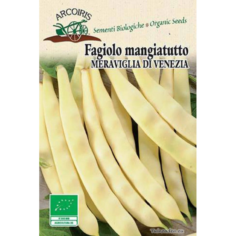 Meraviglia di Venezia Climbing bean organic seeds French Beans