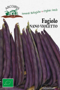 Fagiolo Nano Violetto Purple Queen dwarf bean organic seeds