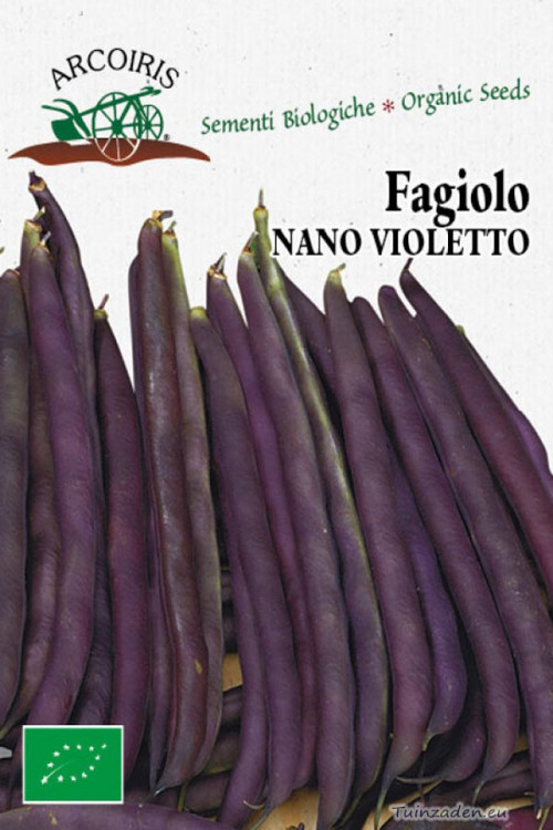 Fagiolo Nano Violetto Purple Queen dwarf bean organic seeds
