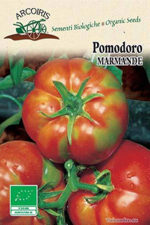 Pomodoro Marmande tomato organic seeds
