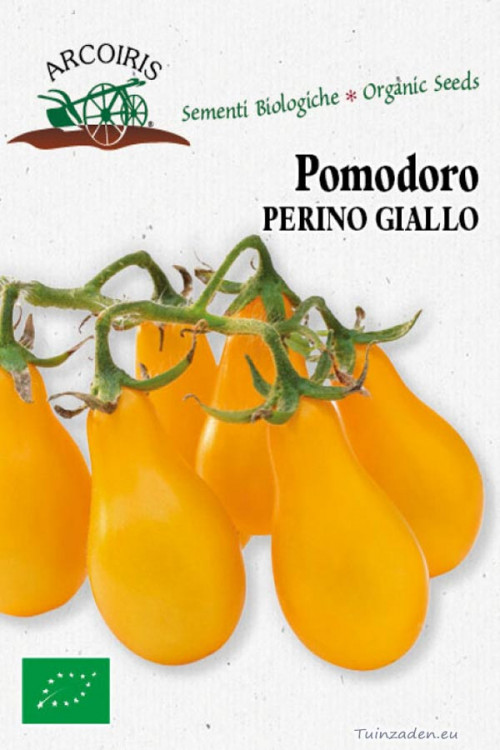 Pomodoro Perino Giallo Yellow pearshaped tomato organic seeds Tomato