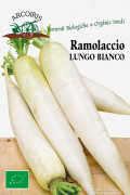 Ramolaccio Lungo Bianco Daikon radish organic seeds
