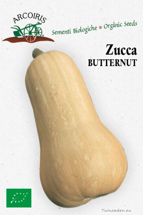 Zucca Butternut pumpkin organic seeds