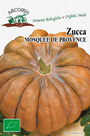 Zucca Mosquee De Provence pumpkin organic seeds