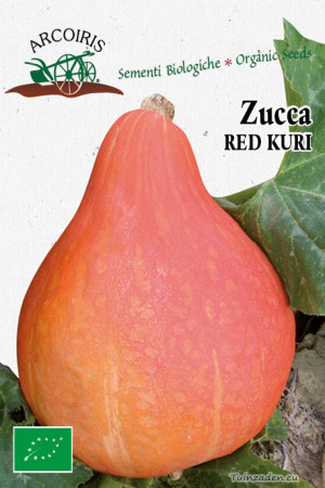 Zucca Red Kuri Hokkaido Pompoen BIO zaden