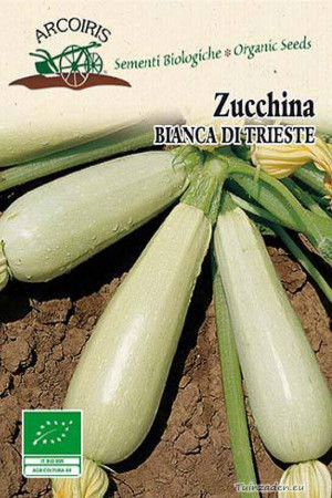 Zucchina Bianca Di Trieste...