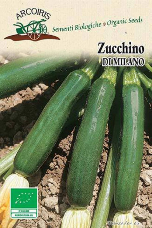 Zucchino Nano Verde Di Milano courgette organic seeds
