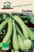 Zucchino Genovese courgette organic seeds