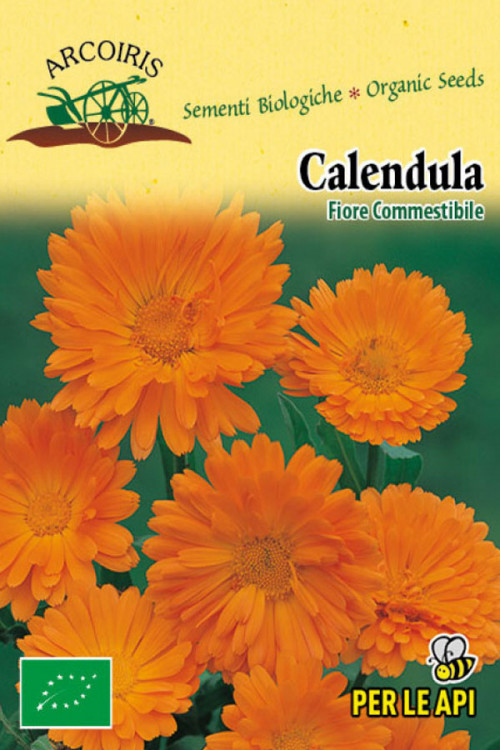 Calendula Marigold organic seeds