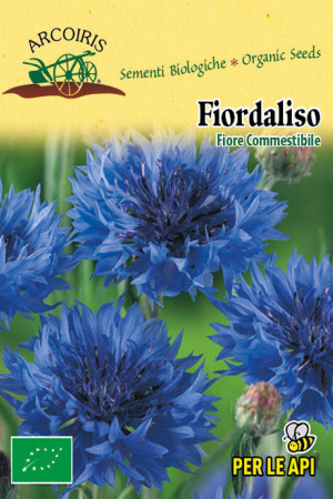 Fiordaliso Cornflower...