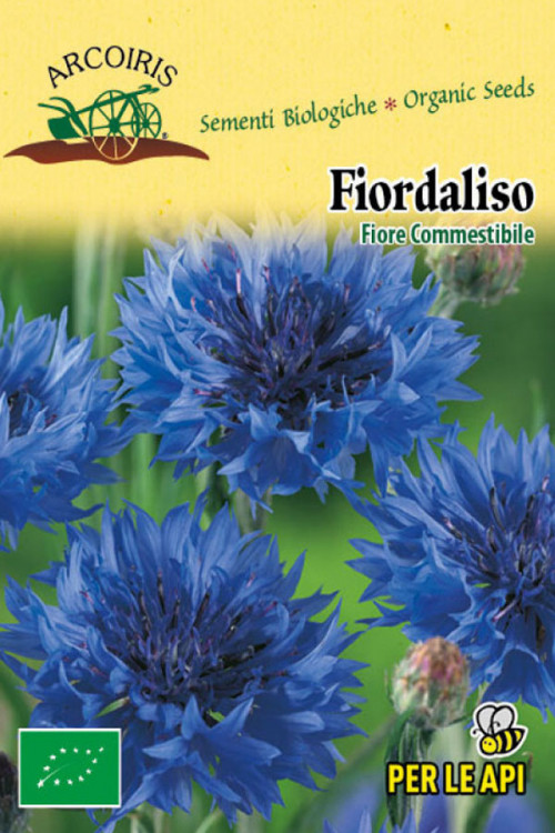 Fiordaliso Cornflower organic seeds