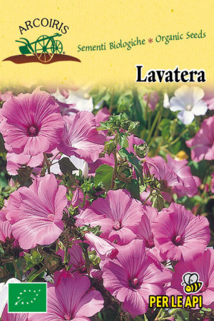 Lavatera organic seeds