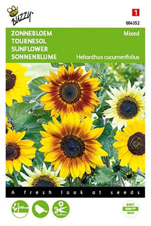 Mixed Sunflowers Helianthus seeds