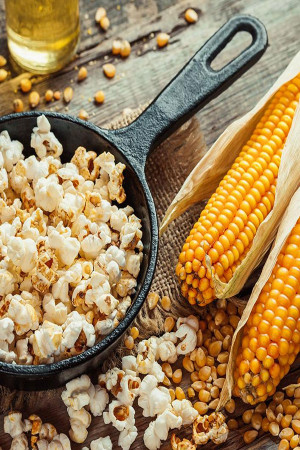 Cinema popcorn organic seeds