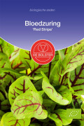 Red Stripe Bloedzuring biologische zaden