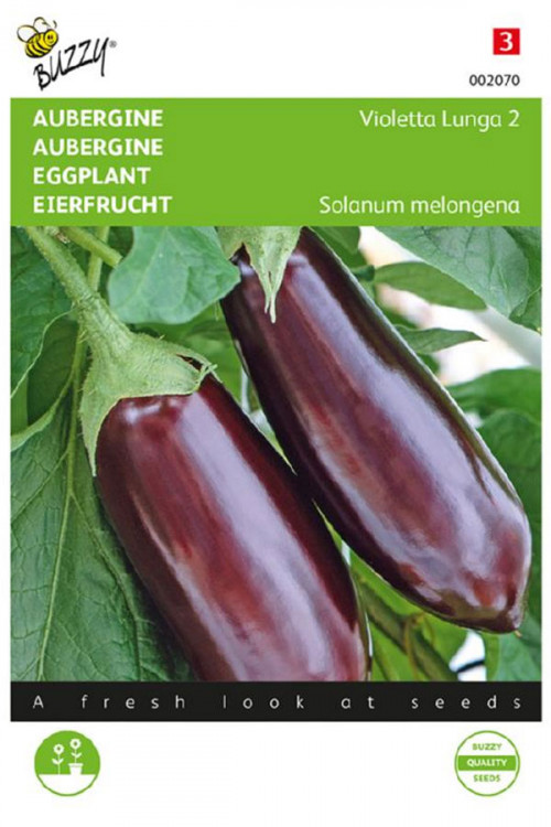 Early Long Purple Eggplant seeds Aubergine Seeds • Tuinzaden.eu