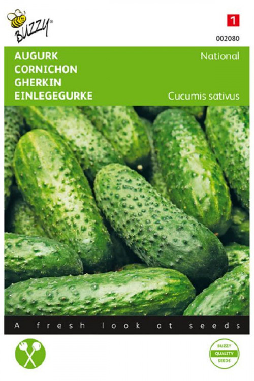 National Kleine Groene Augurk zaden