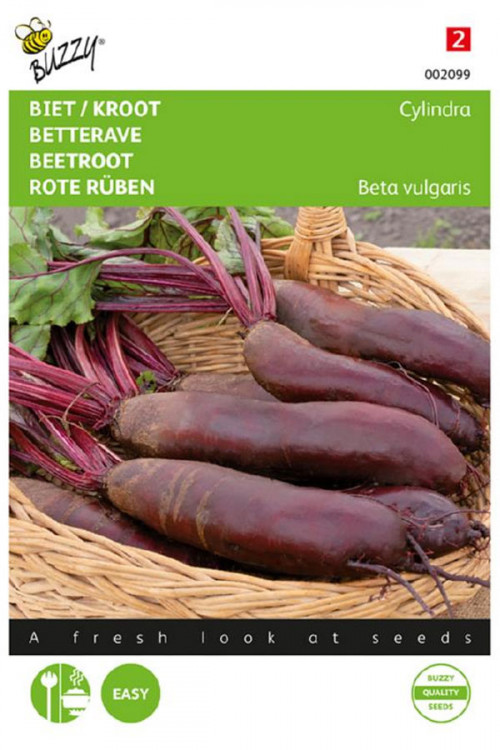 Cylindra Beetroot seeds