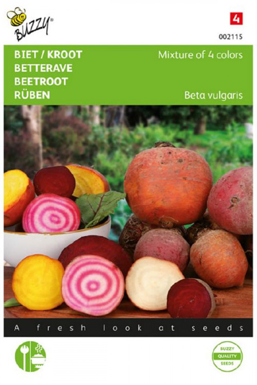 mix 4 color varieties Beetroot seeds
