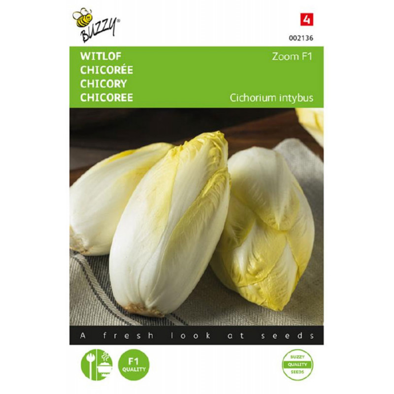 Zoom F1 Witlof zaden Zaden kopen? Tuinzaden.eu