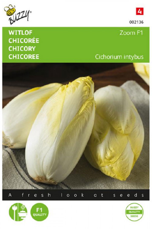 Zoom F1 Brussels White Chicory seeds