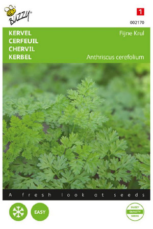 Fine Curled Chervil seeds