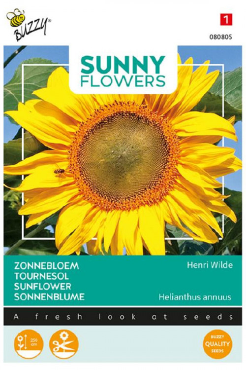 Henri Wilde Sunflower Helianthus seeds