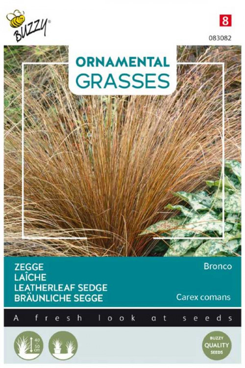 Bronco Carex seeds - 2024