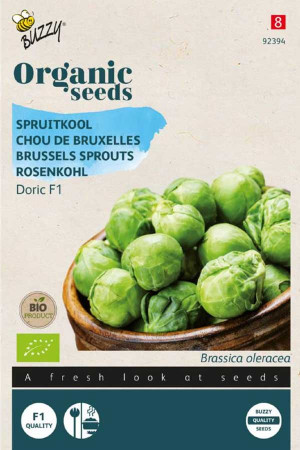 Doric F1 Brussels sprouts...