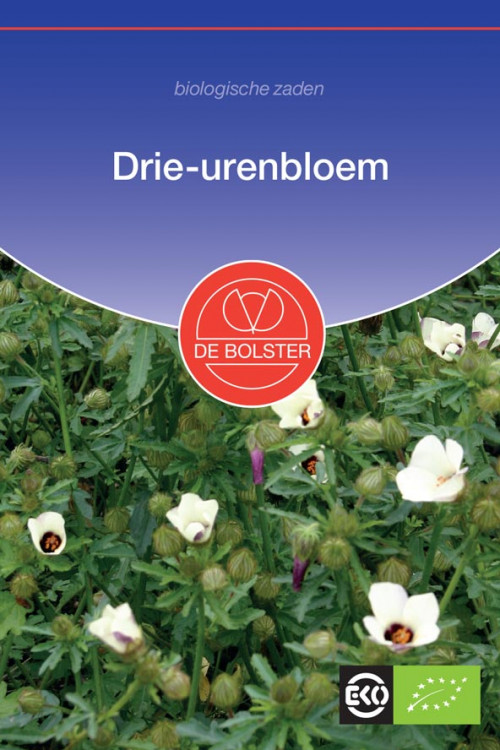 Drie-urenbloem Hibiscus biologische zaden - 2024