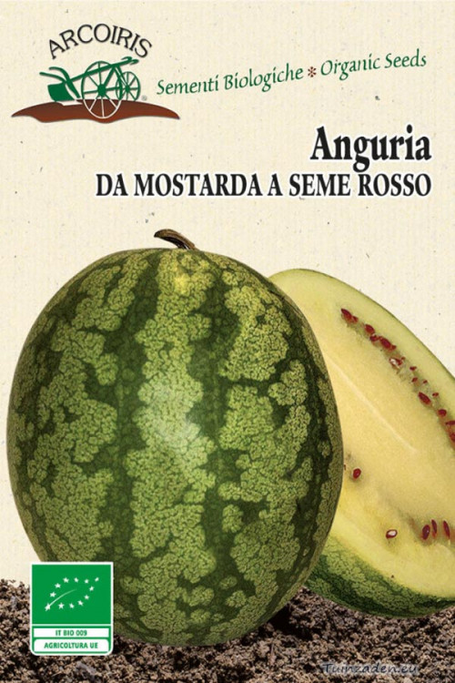 Anguria da Mostarda a Seme Rosso Watermelon organic seeds - 2023