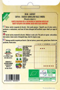 Cannellino Valle Umbra beans organic seeds - 2023